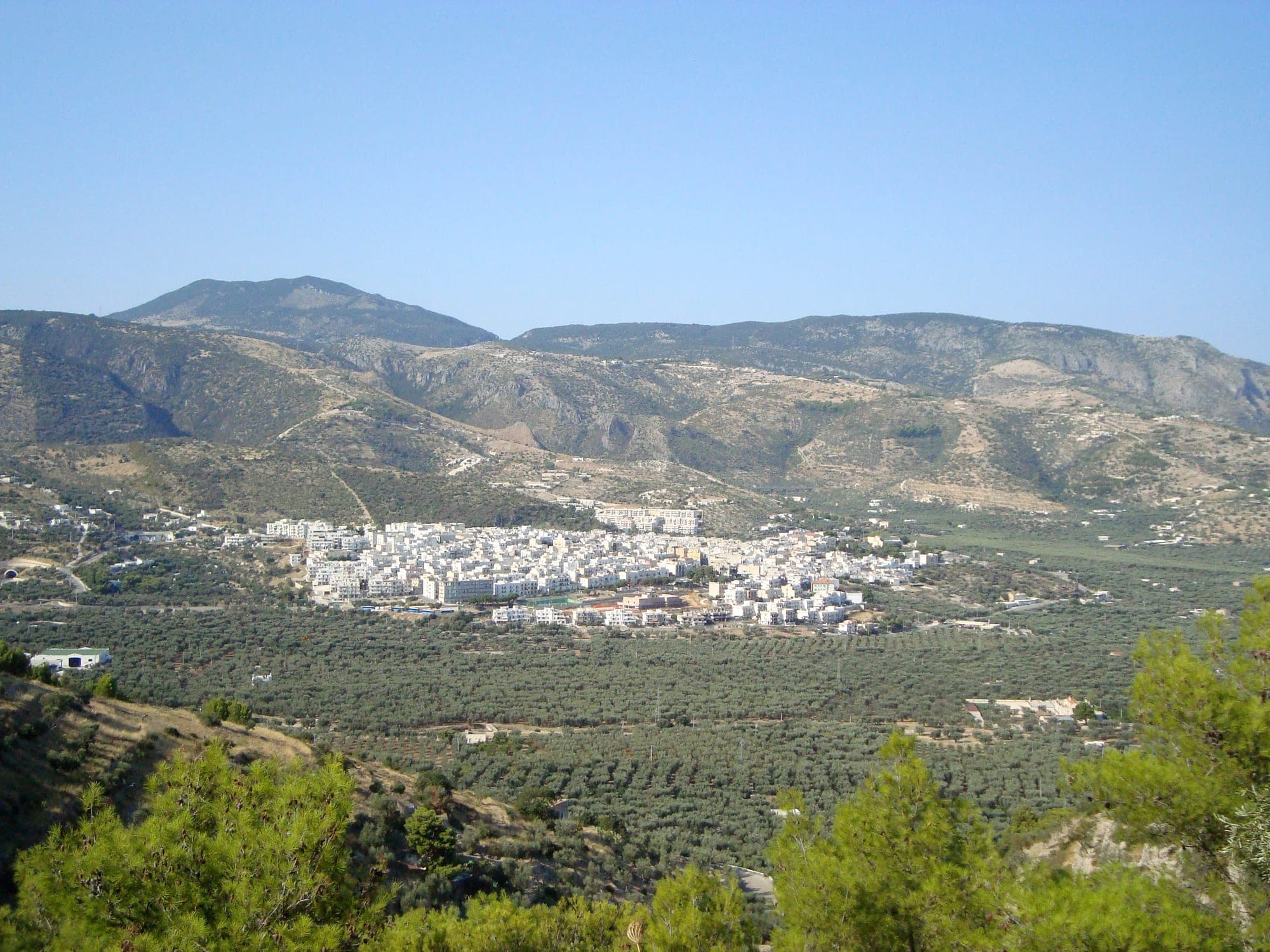 Маттината